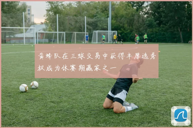 黄蜂队在三球交易中获得丰厚选秀权成为休赛期赢家之一